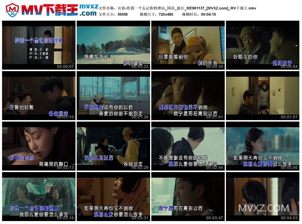 汪铂-给我一个忘记你的理由_国语_流行_ME901137